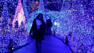tokyo christmas light display