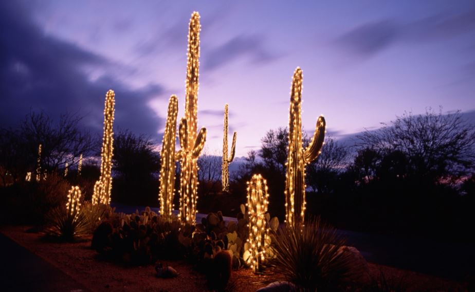 christmas light displays in arizona